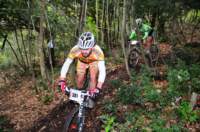 singletrackforo3_small.jpg