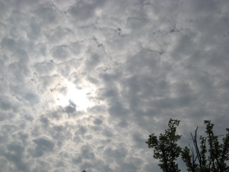 img_4051.jpg