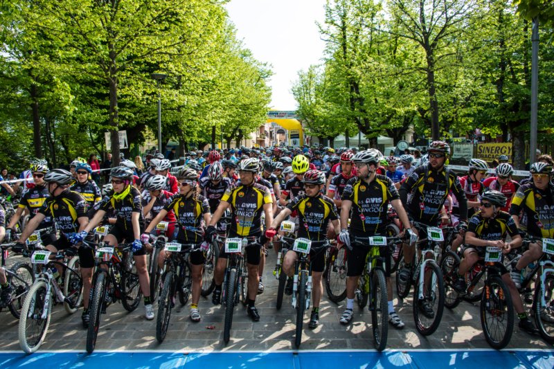 _mtb0090.jpg