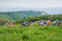 _mtb0160_small.jpg
