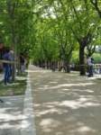 _120510_001_small.jpg