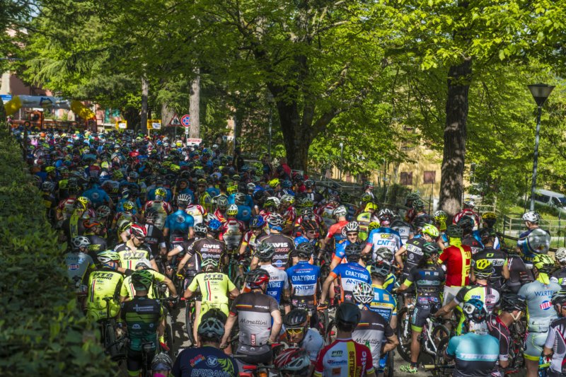 _bik0174.jpg