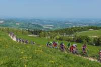 _bik0204_small.jpg