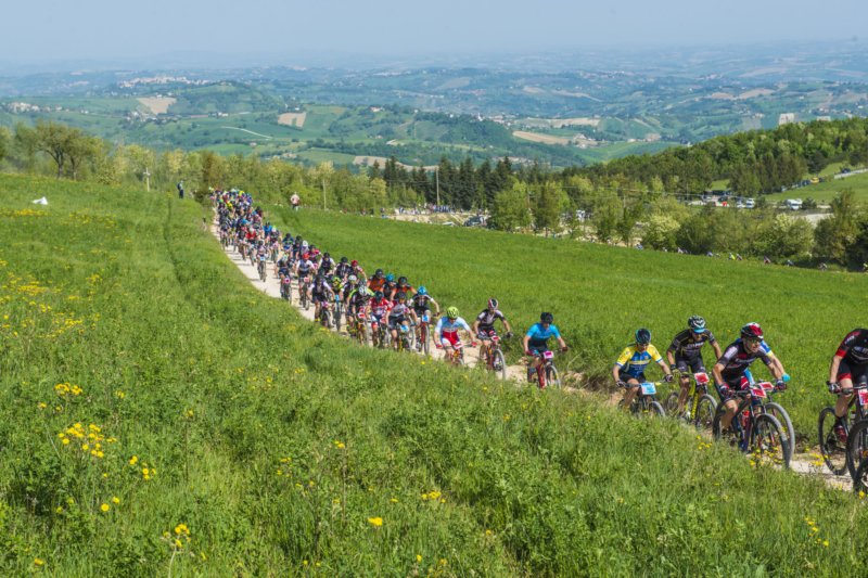 _bik0208.jpg