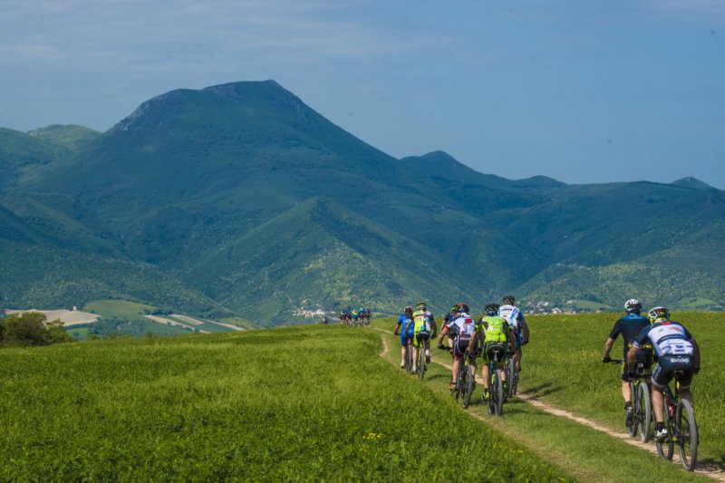 _bik0237.jpg