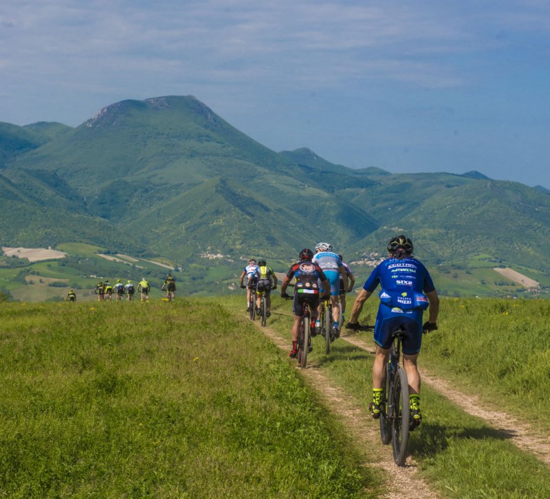 _bik0277.jpg