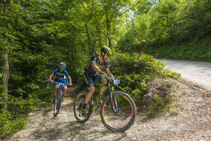 _bik0321.jpg