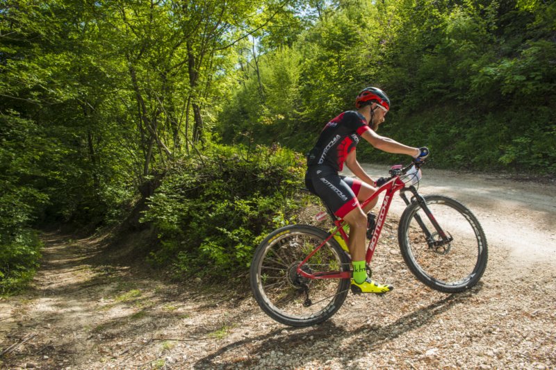 _bik0326.jpg