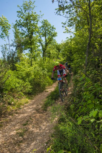 _bik0329.jpg