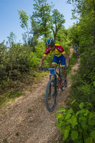 _bik0356.jpg