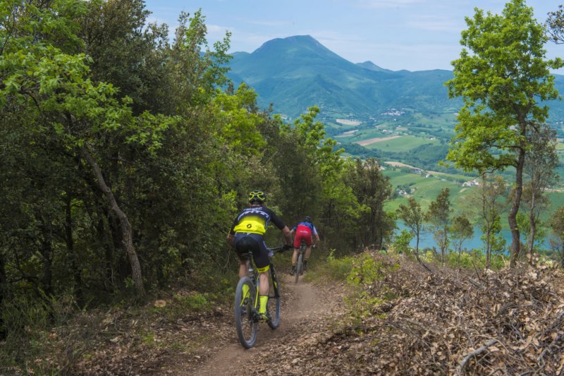 _bik0400.jpg