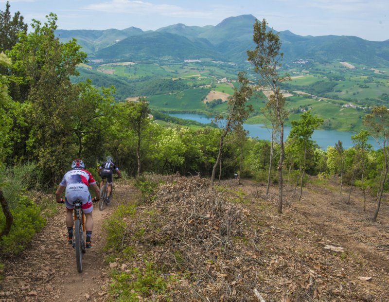 _bik0413.jpg
