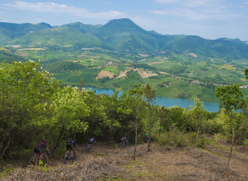 _bik0472.jpg
