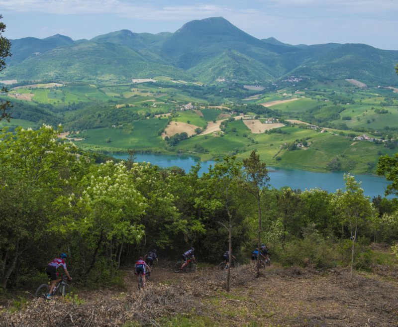 _bik0493.jpg