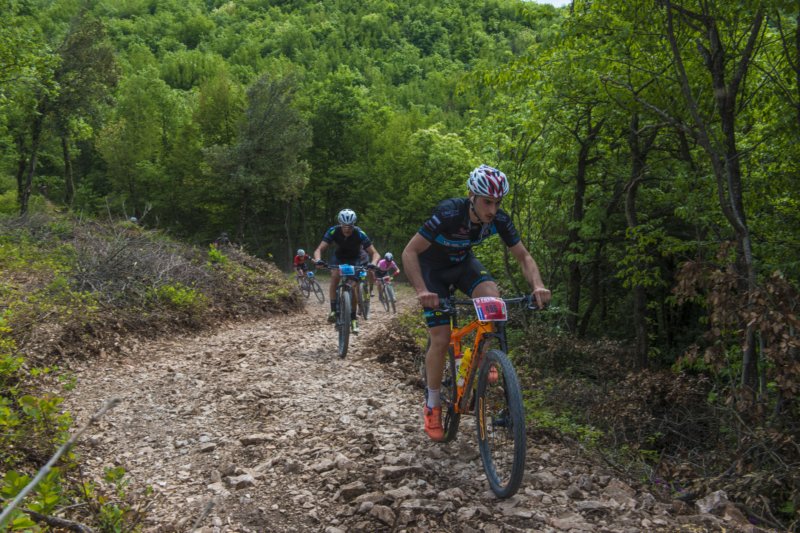 _bik0518.jpg