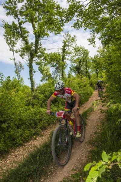 _bik0528.jpg