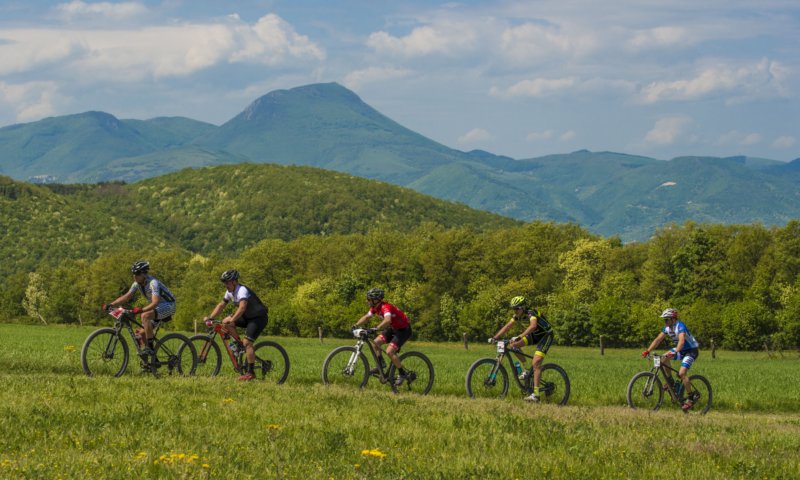 _bik0624.jpg