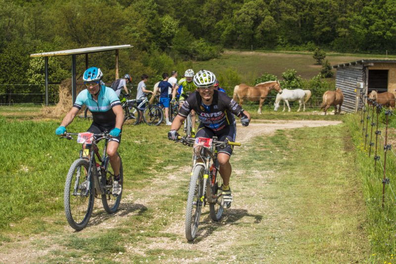 _bik0634.jpg