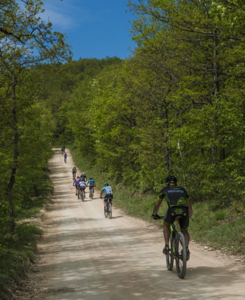 _bik0707.jpg