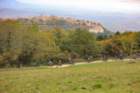 novefossi202112_small.jpg