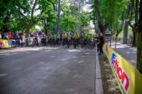 img20240429wa0005_small.jpg