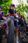 img20240429wa0025_small.jpg
