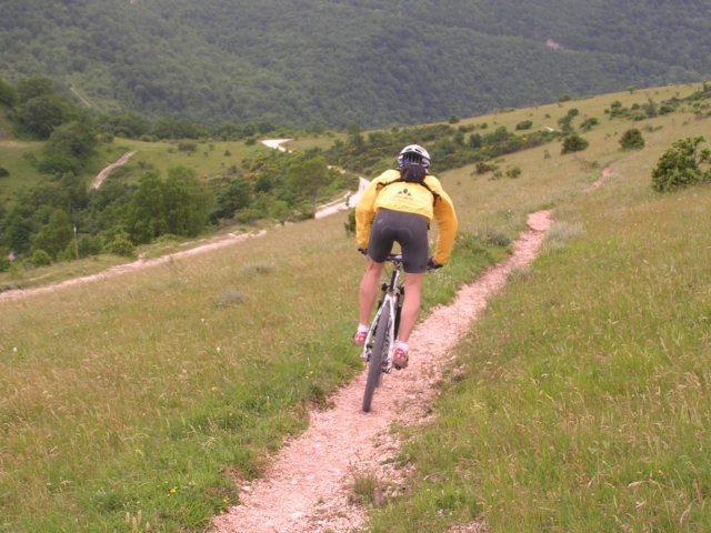 passionetrail2009.jpg