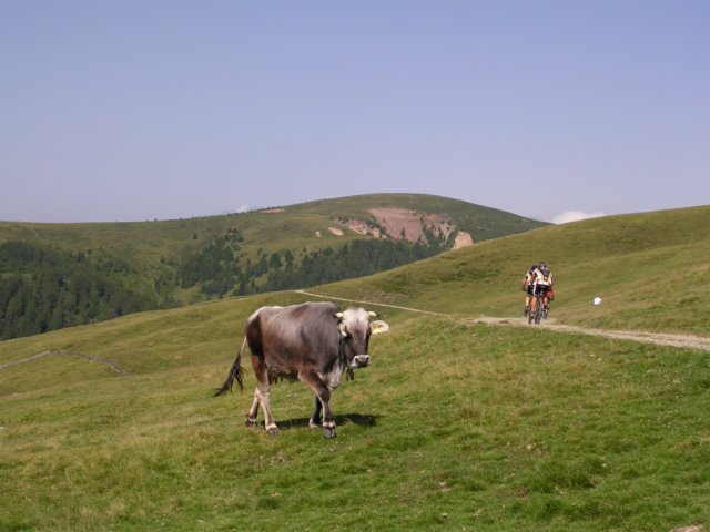 dscn2058.jpg