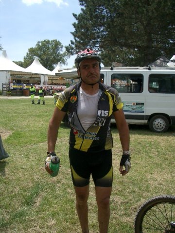 collialbani09.jpg