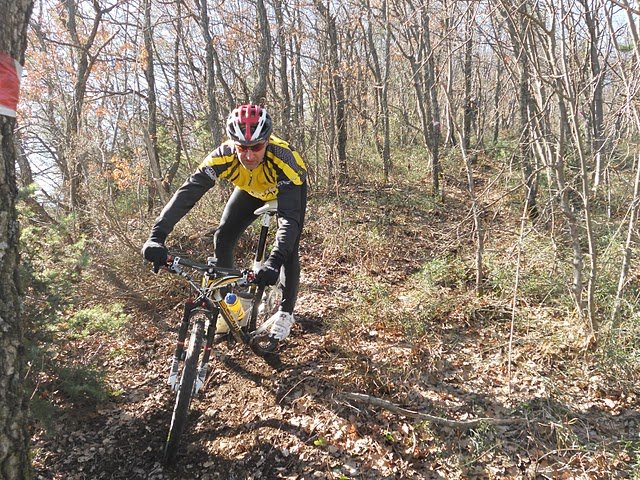 cingoli_20110206_foto069.jpg